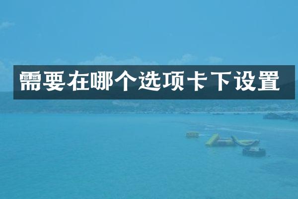 需要在哪个选项卡下设置