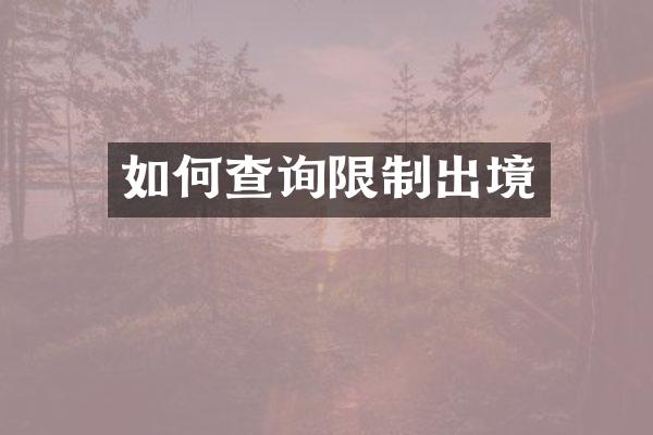 如何查询限制出境