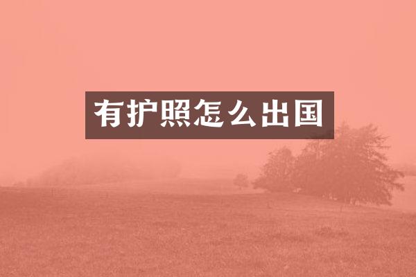 有护照怎么出国