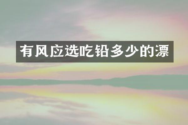有风应选吃铅多少的漂