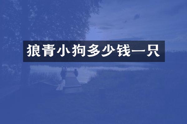 狼青小狗多少钱一只