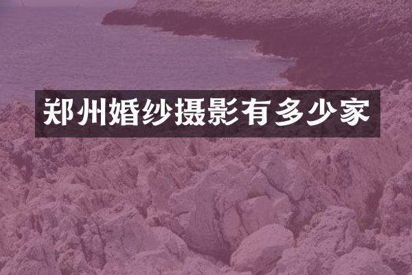 郑州婚纱摄影有多少家