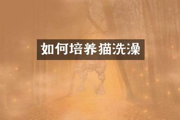 如何培养猫洗澡