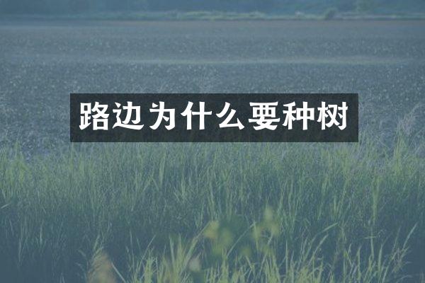 路边为什么要种树