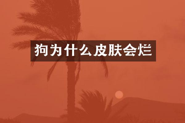 狗为什么皮肤会烂