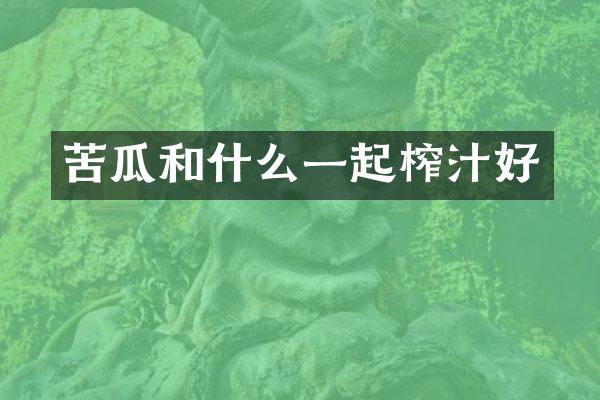 苦瓜和什么一起榨汁好