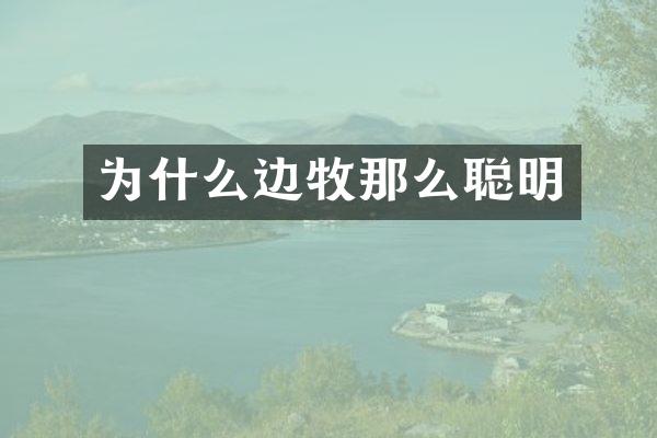 为什么边牧那么聪明