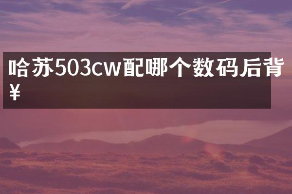 哈苏503cw配哪个数码后背好