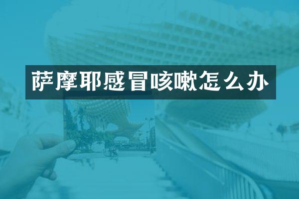 萨摩耶感冒咳嗽怎么办