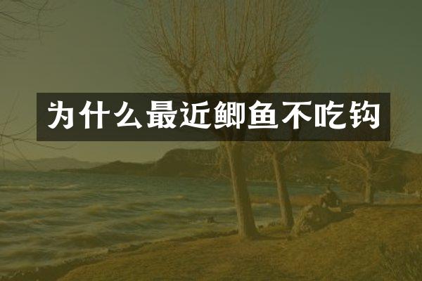 为什么最近鲫鱼不吃钩