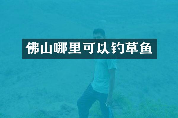 佛山哪里可以钓草鱼