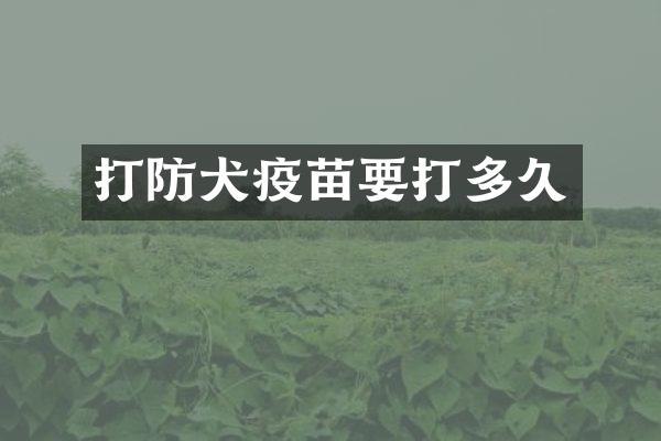 打防犬疫苗要打多久