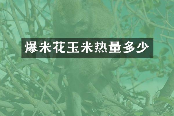 爆米花玉米热量多少