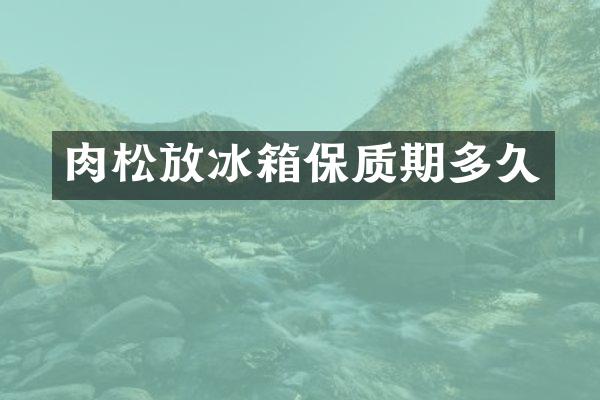 肉松放冰箱保质期多久