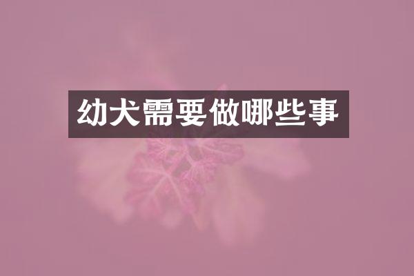 幼犬需要做哪些事