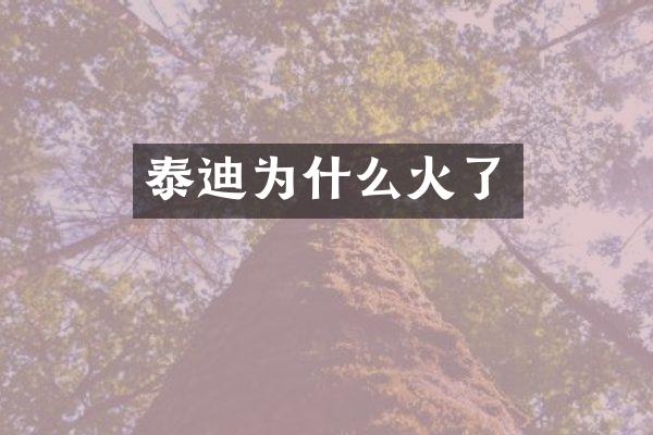 泰迪为什么火了