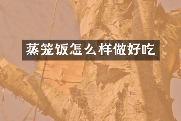 蒸笼饭怎么样做好吃