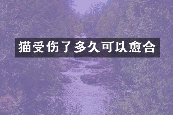 猫受伤了多久可以愈合