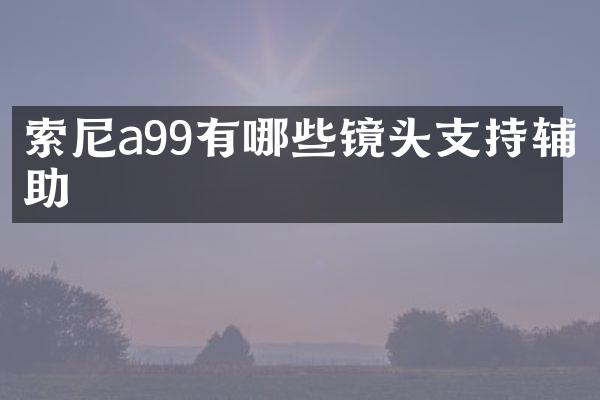 索尼a99有哪些镜头支持辅助
