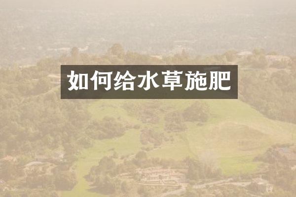 如何给水草施肥