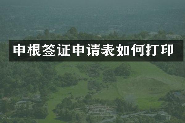 申根签证申请表如何打印