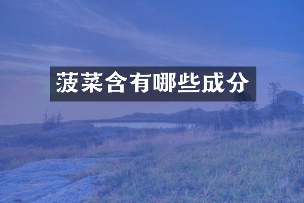 菠菜含有哪些成分