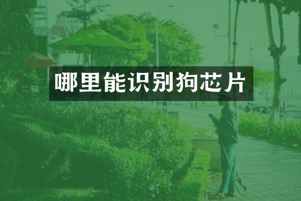 哪里能识别狗芯片