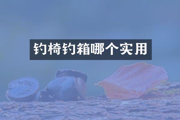 钓椅钓箱哪个实用