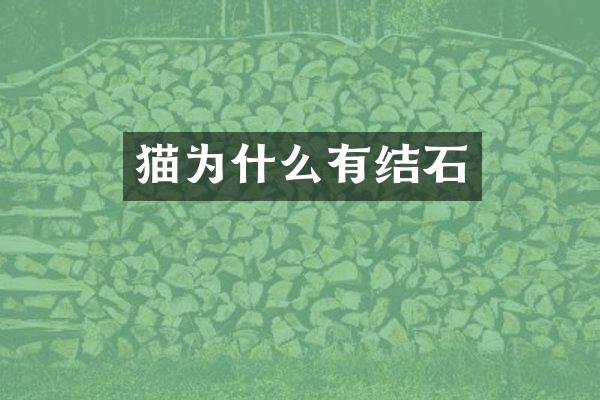 猫为什么有结石