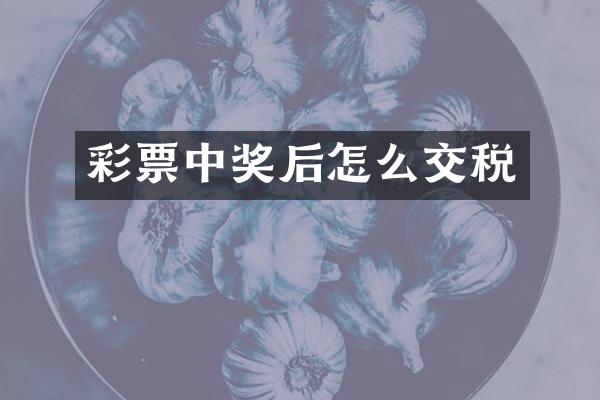 彩票中奖后怎么交税