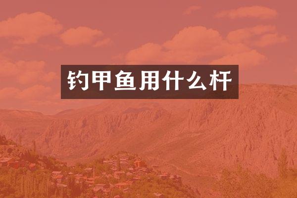 钓甲鱼用什么杆