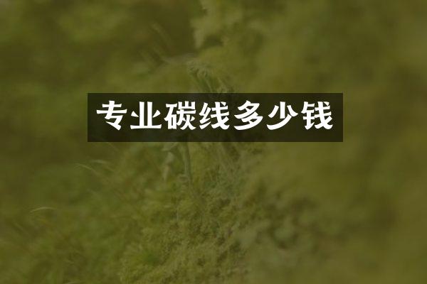 专业碳线多少钱