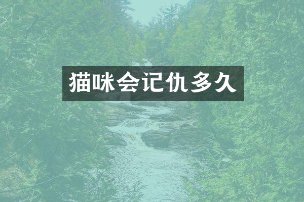 猫咪会记仇多久