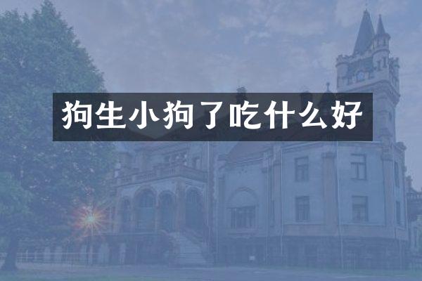 狗生小狗了吃什么好
