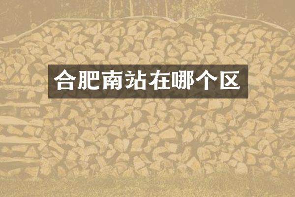 合肥南站在哪个区