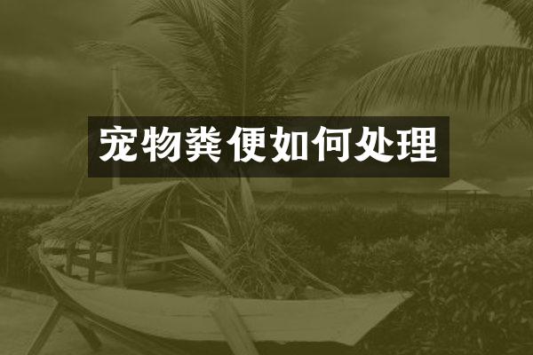 宠物粪便如何处理