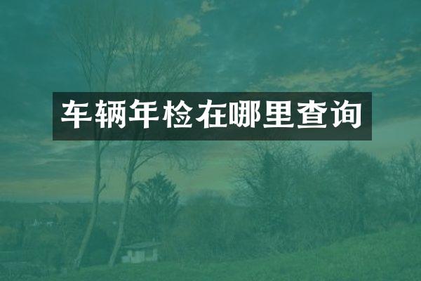 车辆年检在哪里查询