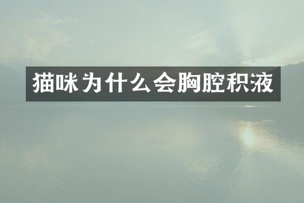 猫咪为什么会胸腔积液