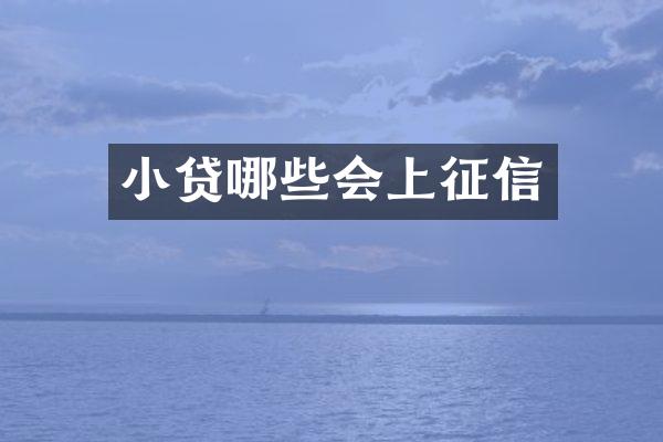小贷哪些会上征信
