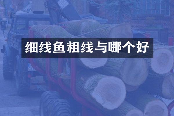 细线鱼粗线与哪个好