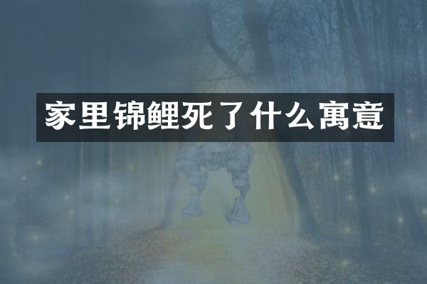 家里锦鲤死了什么寓意