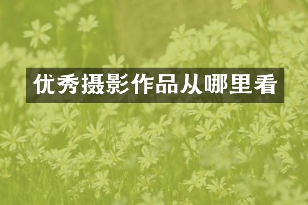 优秀摄影作品从哪里看