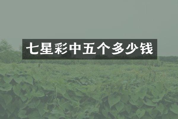 七星彩中五个多少钱