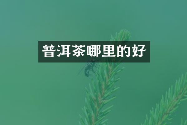 普洱茶哪里的好