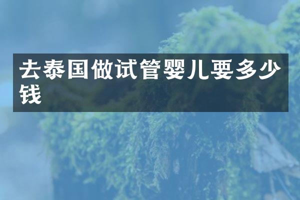 去泰国做试管婴儿要多少钱