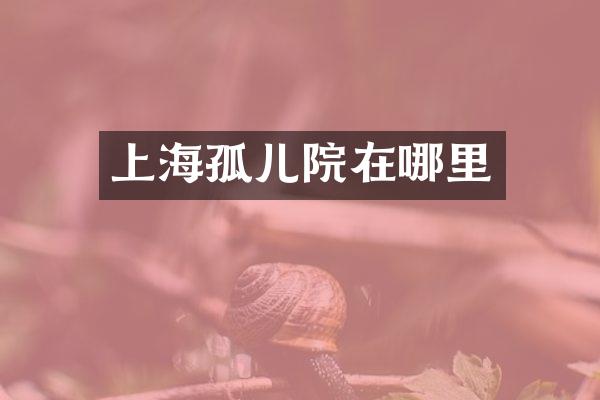 上海孤儿院在哪里