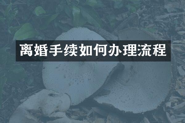 离婚手续如何办理流程