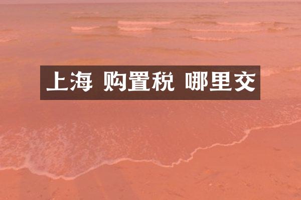 上海 购置税 哪里交