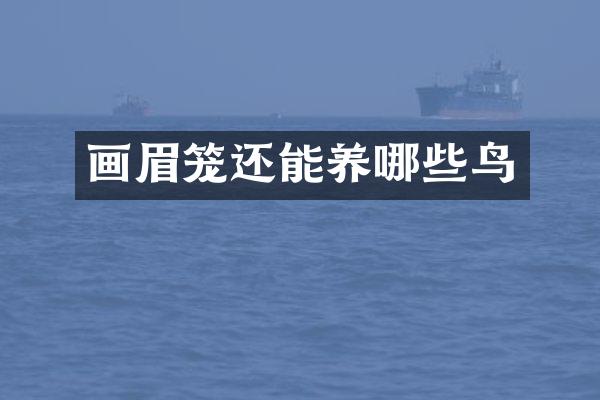 画眉笼还能养哪些鸟