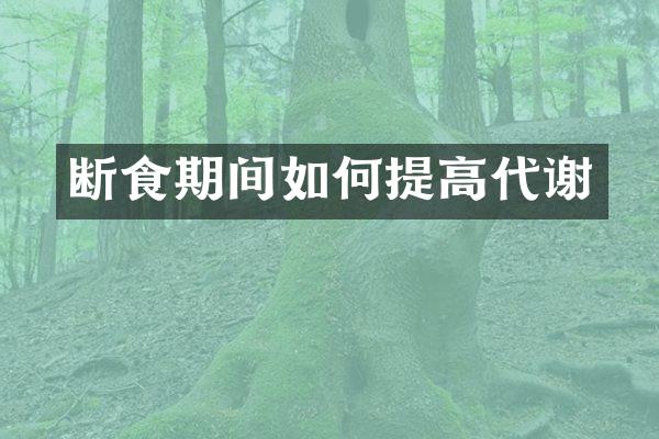 断食期间如何提高代谢
